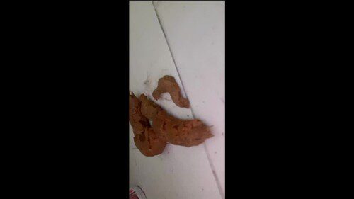 Seduction  Slimy Diarrhea