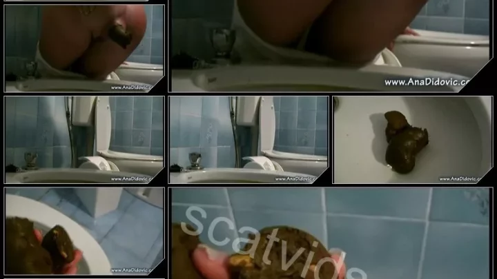 [AnaDidovic com] Blue Tile Turd