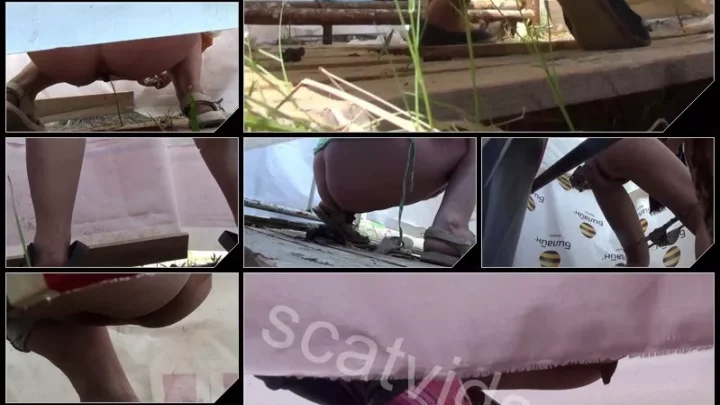 [AllVoyeur net] Primitive toilet shit [Piss, 2017, Shitting, Scat, Voyeur]