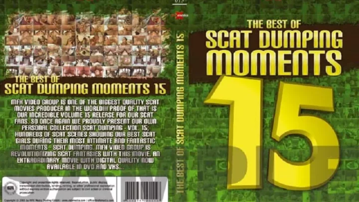 MFX – The Best Of Scat Dumping Moments 15 (Marcelo Cross, MFX-Media) [Vomit, Рiss, Scat, DVDRip]