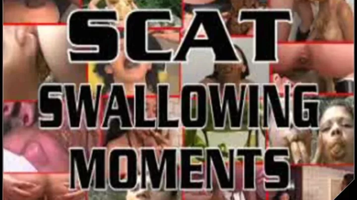 Scat Swallowing Moments [MFX-Media] [SiteRip, Swallow, Scat]