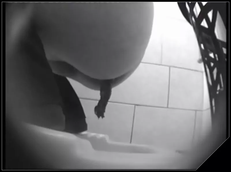 Shit compilation 004 [Peeing, Voyeur, Scat]
