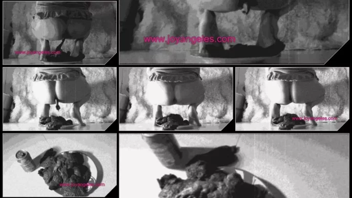 [JoyAngeles com] 008  Shellyna2 [Farting, Scat, Peeing, Alone, Pooping, Toilet]