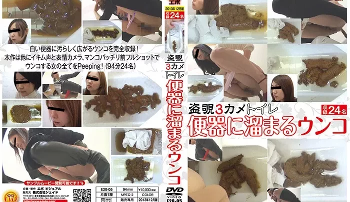 [E28-05] 盗覗3カメトイレ　便器に溜まるウンコ トイレ(盗撮) 盗撮 Scat