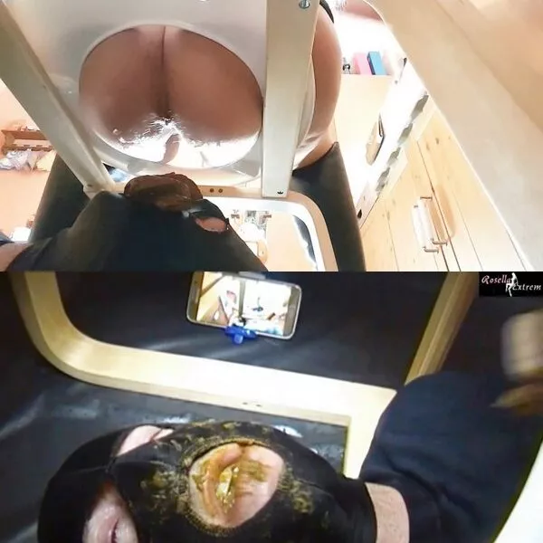 RosellaExtrem The great shit eating!