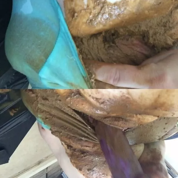 Not_so_innocent Messy Panties Messy Pussy