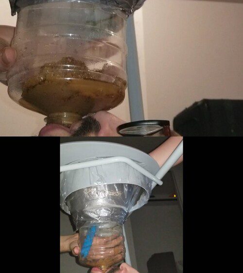 SSBBW Queen Siya New SLAVE vs. Experienced TOILET