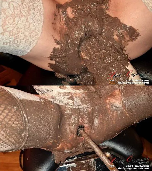 SlutOrgasma: shit cunt fucked by a toilet brush