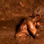 SDMS-637 世紀末うんこ大戦 黄金クィーン争奪スカトロキャットファイト BLACK SOD Scat