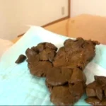 GCD-161 女の子の前でする恥ずかしいうんち 5人全員自然便 Scat