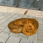 PSD-024 排泄の巨人 Scat 乱交 フェチ その他フェチ Kuroda Mayo Tokui Yui Enomoto Ayame Kitazawa Aoi