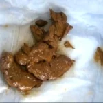 STD-407 ウンチ買取堂5 初見せだらけ 純情すぎる黒髪乙女のみ揃えました Scat スカトロ レイディックス