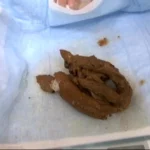 STD-409 ウンチ買取堂7 ビックリ仰天 迫り来る巨大ウンチを体感セヨ 相田ユリア Yuria Aida Saya Takazawa 森野ひなの 飲尿 Golden Showers レイディックス