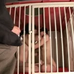 CMC-024 日舞師範レズ監禁 舞妃の檻 ミス・クリスティーヌ 久遠寺涼 Tied Actress Ono Seakari Kudou Teraryou Enema