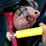 CMN-111 ニューハーフスパイ 間諜X 地獄の陸軍式拷問 天束璃音 Transsexual ノワール Ten Soku Ri Oto