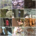 JCND-02 隠撮チアガール 野グソ野ション 2 Voyeur Scat 盗撮