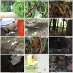 STND-01 隠撮 テニスガール野グソ野ション 1 Voyeur 盗撮 スポーツコスチューム ジェイド