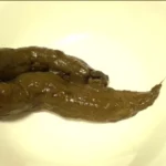 CUN-001 投稿 糞日記 Scat 脱糞生活素人食糞 糞日記