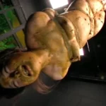 DDT-450 スカトロ全集 西村あみ 笠原ひろみ Omnibus 優木あおい Lesbian Scat