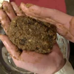 VRXS-077 脱糞レストラン メイド系 V＆R 紫月いろは 深海 Scat