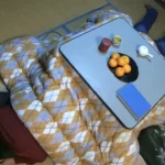 VRXS-104 近親相姦スカトロドラマ 新・背徳の親子糞 Scat Mature 脱糞 加賀ゆか子 Scat