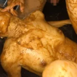 MANQ-005 大食いフードファイター三枝はるきの自分のでっかいウンコをガチで食ってみた マニア9 Scat 食糞