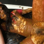 MANQ-020 大食い世界大会出場経験アリ 大食いフードファイター美山さつきの自分のでっかいウンコをガチで食ってみた… Scat スカトロ Golden Showers ゲロ