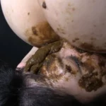 VRXS-117 レズ顔騎糞 2 アナル 脱糞 フィスト 富本祐子 壇レイナ Lesbian Scat