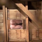 VRXS-136 直下型女子便所 7人7様の肛門とウンコ 115分 Amateur Scat