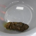 INAX-003 初スカパイパン 美少女 強制脱糞クソまみれ 美泉里菜 フェチ Fetish 剃毛・パイパン（フェチ） Scat