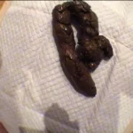 ODV-261 パイパンショップ店員の肉食系排泄 プレジャーアウトレット 95分 大塚フロッピーShirai Hitomi