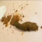 ODV-277 下品に豪快大脱糞 実家で絶叫レースクイーン Defecation Amateur スカトロ Scat