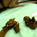 ODV-286 激臭 チャットレディー達の裏バイト脱糞生中継 Scat Amateur スカトロ オナニー その他オナニー 120分 Scat