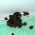 ODV-290 オタク女子大生の大量脱糞と日々の激臭アナル遊び スカトロ 120分 Amateur Scat