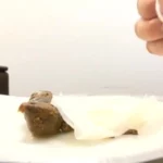 ODV-337 うんこでち○こ フェラ面接 Scat Amateur スカトロ 大塚フロッピー