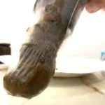 ODV-337 うんこでち○こ フェラ面接 Scat Amateur スカトロ 大塚フロッピー