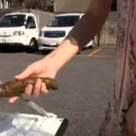 ODV-338 臭い・音モレ 要注意 路上臨時仮設トイレット Scat