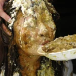 OPBD-034 極めつきド変態 ゲログソセーラー2穴中出しSMリミテッドエディション 青空のん その他SM Scat 脱糞 Piss Drinking