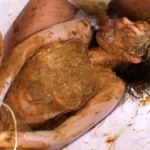 OPMD-024 名門女子大生衝撃の初ハメスカ ゲログソ洗礼乙女 OPERA 素人 脱糞 Defecation 女子学生 Actress