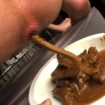 OPMD-024 名門女子大生衝撃の初ハメスカ ゲログソ洗礼乙女 OPERA 素人 脱糞 Defecation 女子学生 Actress