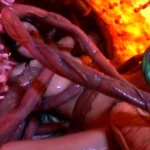 SDMS-593 触獣丸呑みアクメ SODクリエイト（ソフトオンデマンド） イラマ Planning SOD Acme