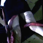 SDMS-884 芸能人 黄金咲ちひろ 触手アクメ その他フェチ SODクリエイト（ソフトオンデマンド） 石川欣 凌辱 フェチ 輪姦・凌辱