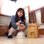 GCD-711 私立脱糞プレミア女学園 2 その他凌辱 スカトロ