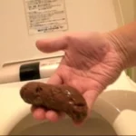 GCD-723 パーフェクトうんち 密着4日間 5脱糞 瀬戸友里亜 Yuria Seto Scat レイディックス