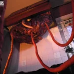 ATID-192 触手に溺れて HITOMI 人妻強制受胎 その他人妻・熟女 凌辱 人妻・熟女