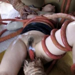 ATID-220 触手に溺れて 巨乳妻、貞操崩壊 水城奈緒 監禁 人妻 アタッカーズ Tentacles GORY松田