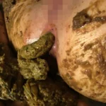 VRXS-061 寝糞 2 Fetish 尻（フェチ） スカトロ 100分 Scatting