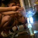 NFDM-193 残酷放尿地獄 小便をぶちまけて馬鹿笑いする黒ギャル Scat Rio Sakura 素人 桜りお 痴女 フリーダム Gal スカトロ