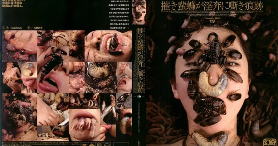 GEN-019 摧きゴキブリが淫奔に嘶き痕跡 虫・魚類 春うらら Extreme