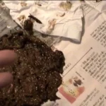 ODV-259 大便見られたい盛りのお下劣主婦 Defecation スカトロ Scatting